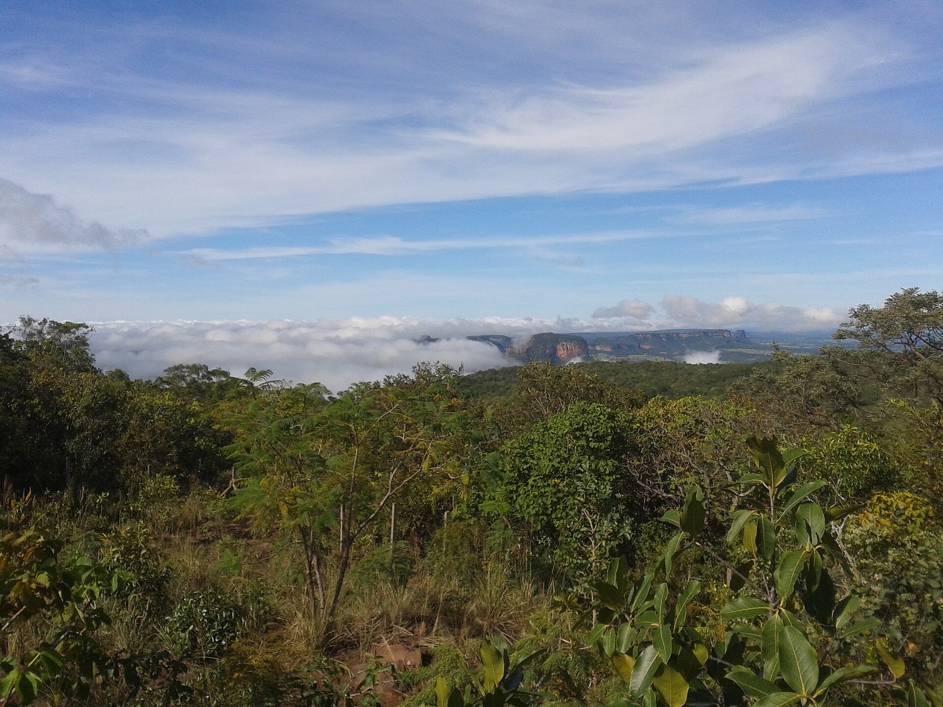 Imagem de referência relacionada a Morro do Paxixi, item descrito como montanha e atração turística na cidade de Aquidauana, Mato Grosso do Sul