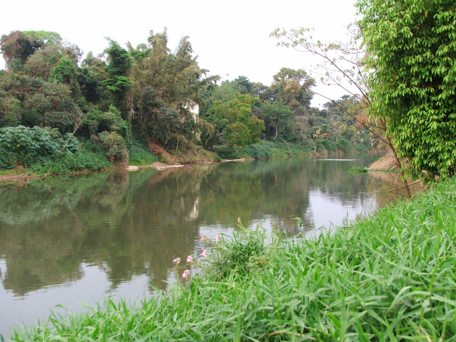 Imagem de referência de Rio Jaguari (São Paulo), descrito nos dados abertos como rio do estado de São Paulo, Brasil