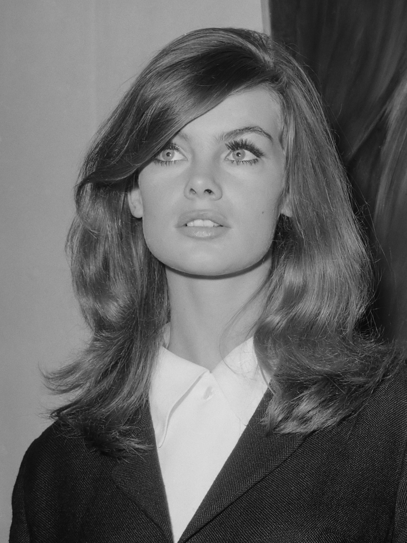 Imagem de referência relacionada a Jean Shrimpton, item descrito como modelo britânica