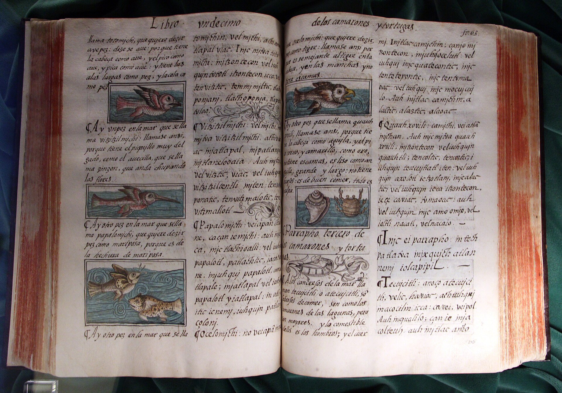 Imagem de referência de Historia general de las cosas de la Nueva España, descrito nos dados abertos como enciclopédia em náuatle escrita por Bernardino de Sahagún
