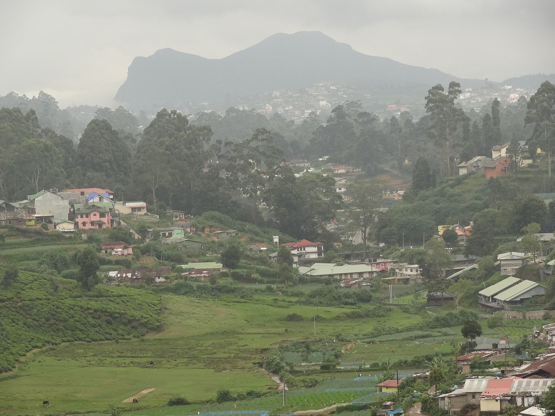 Imagem de referência relacionada a Nuwara Eliya, item descrito como registro de referência sobre Nuwara Eliya, organizado a partir de dados estruturados abertos