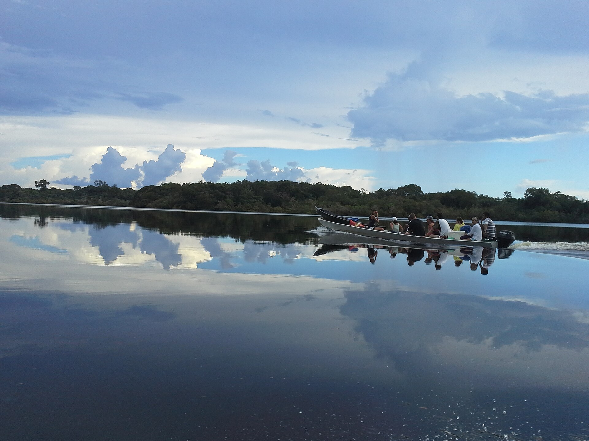 Imagem de referência de Parque Nacional dos Campos Amazônicos, descrito nos dados abertos como parque Nacional dos Campos Amazônicos está localizado em Barcelos, Colniza, Machadinho d'Oeste, Manicoré, Novo Aripuanã, nos estados de Amazonas, Mato Grosso, Rondônia