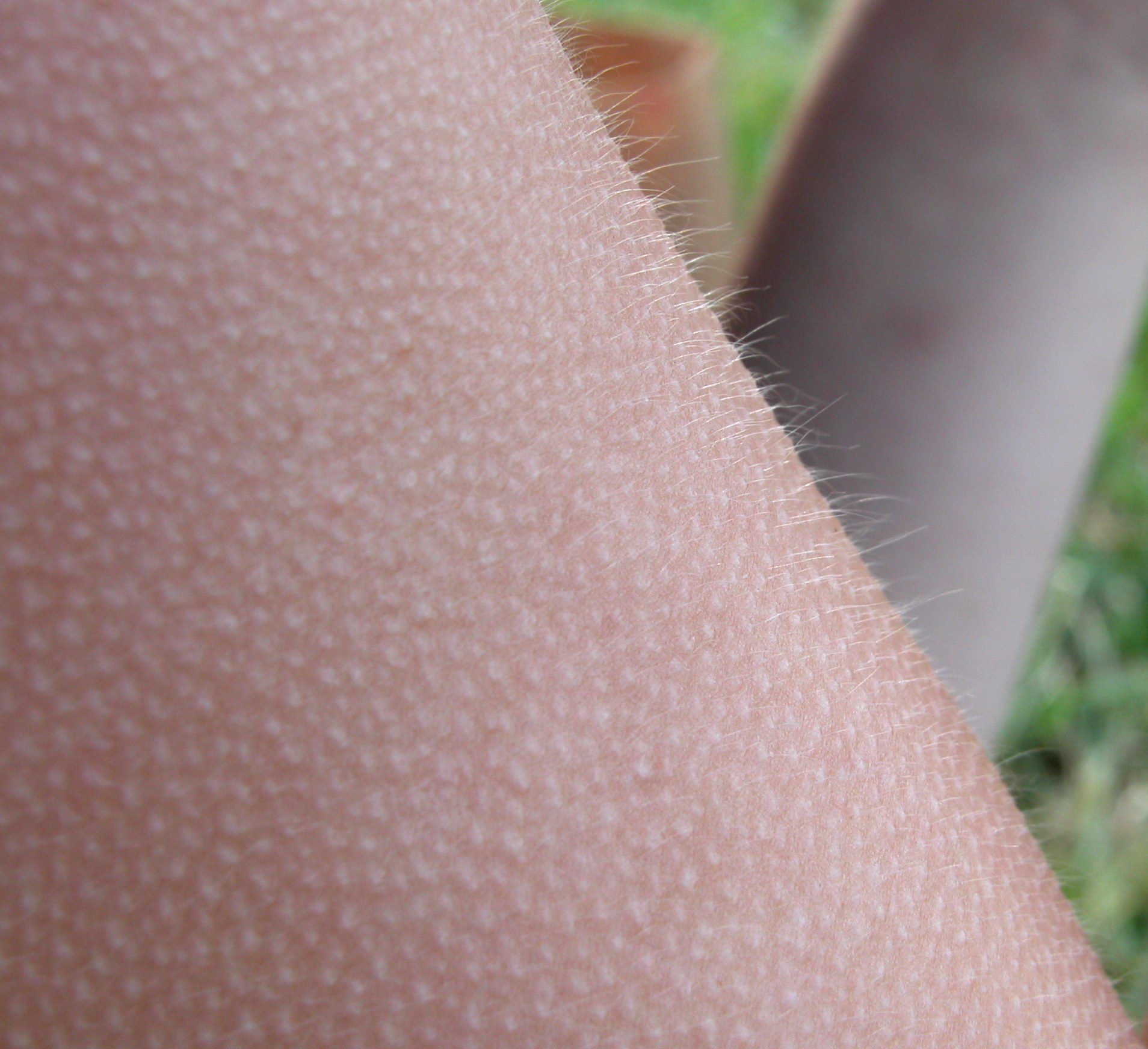 Imagem de referência de Goosebumps, descrito nos dados abertos como filme de 2015 dirigido por Rob Letterman
