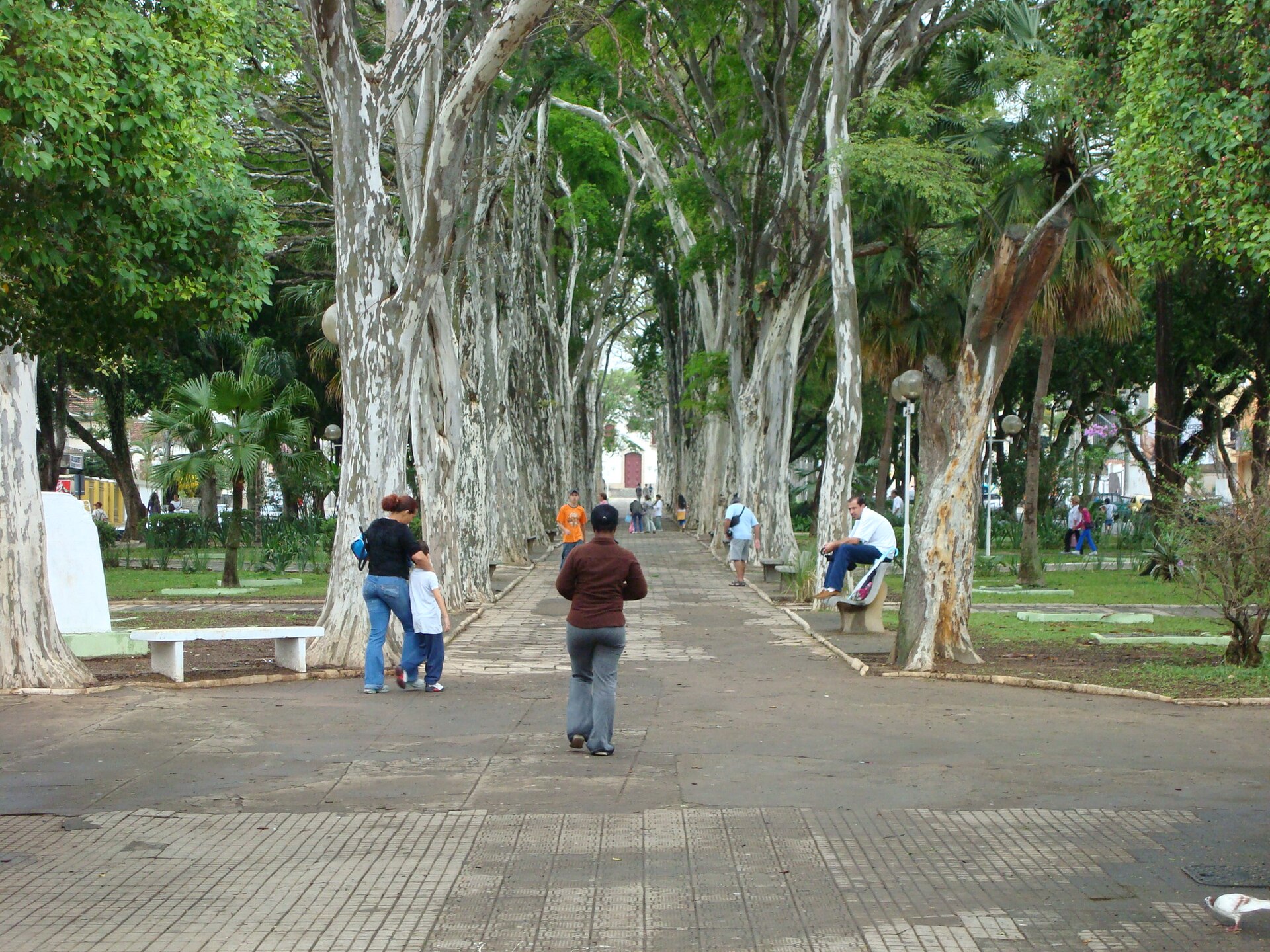 Imagem de referência de Campo Belo, descrito nos dados abertos como município brasileiro do estado de Minas Gerais