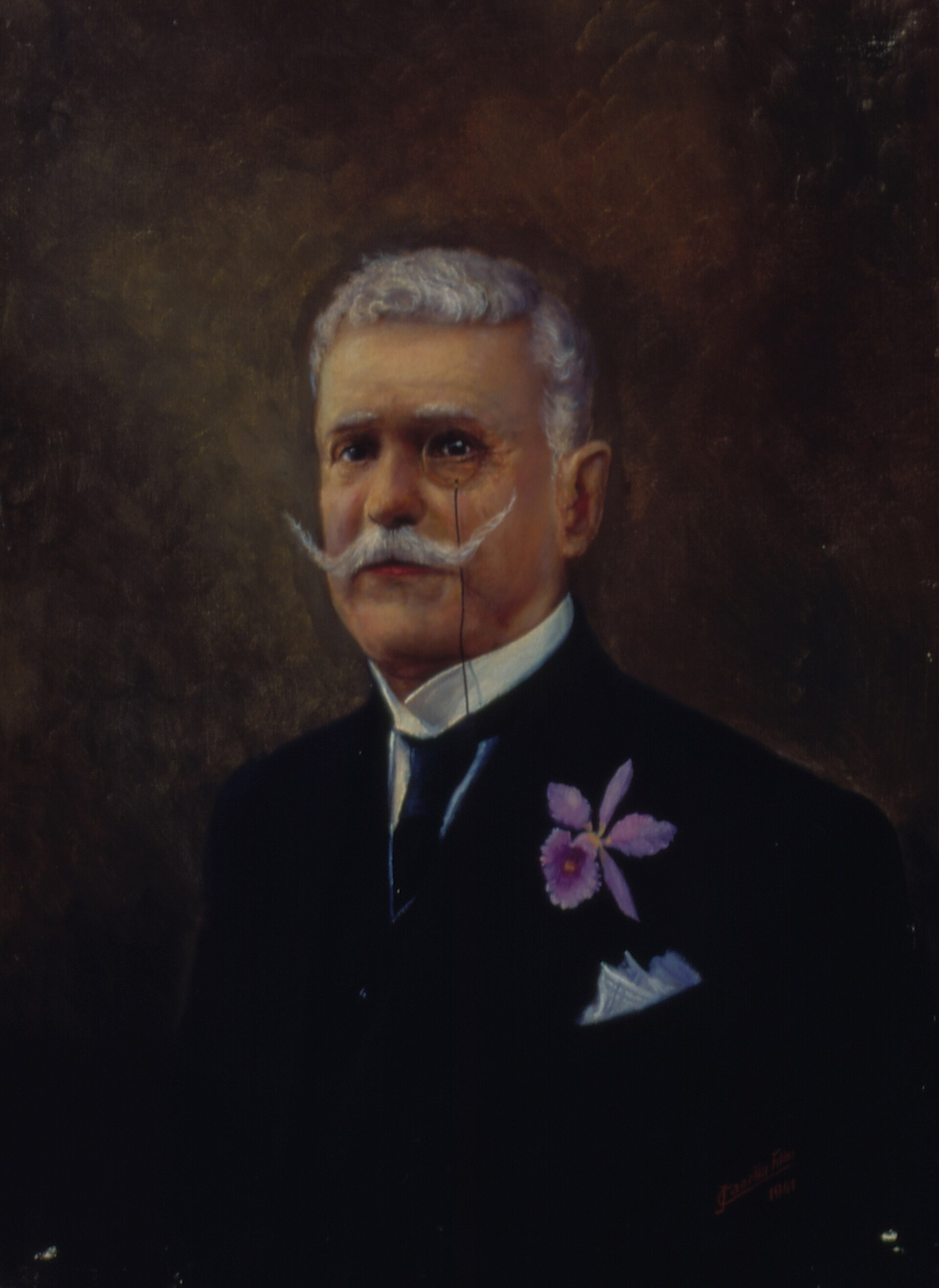 Imagem de referência de Tommaso Gaudenzio Bezzi, descrito nos dados abertos como pintura de José Canella Filho