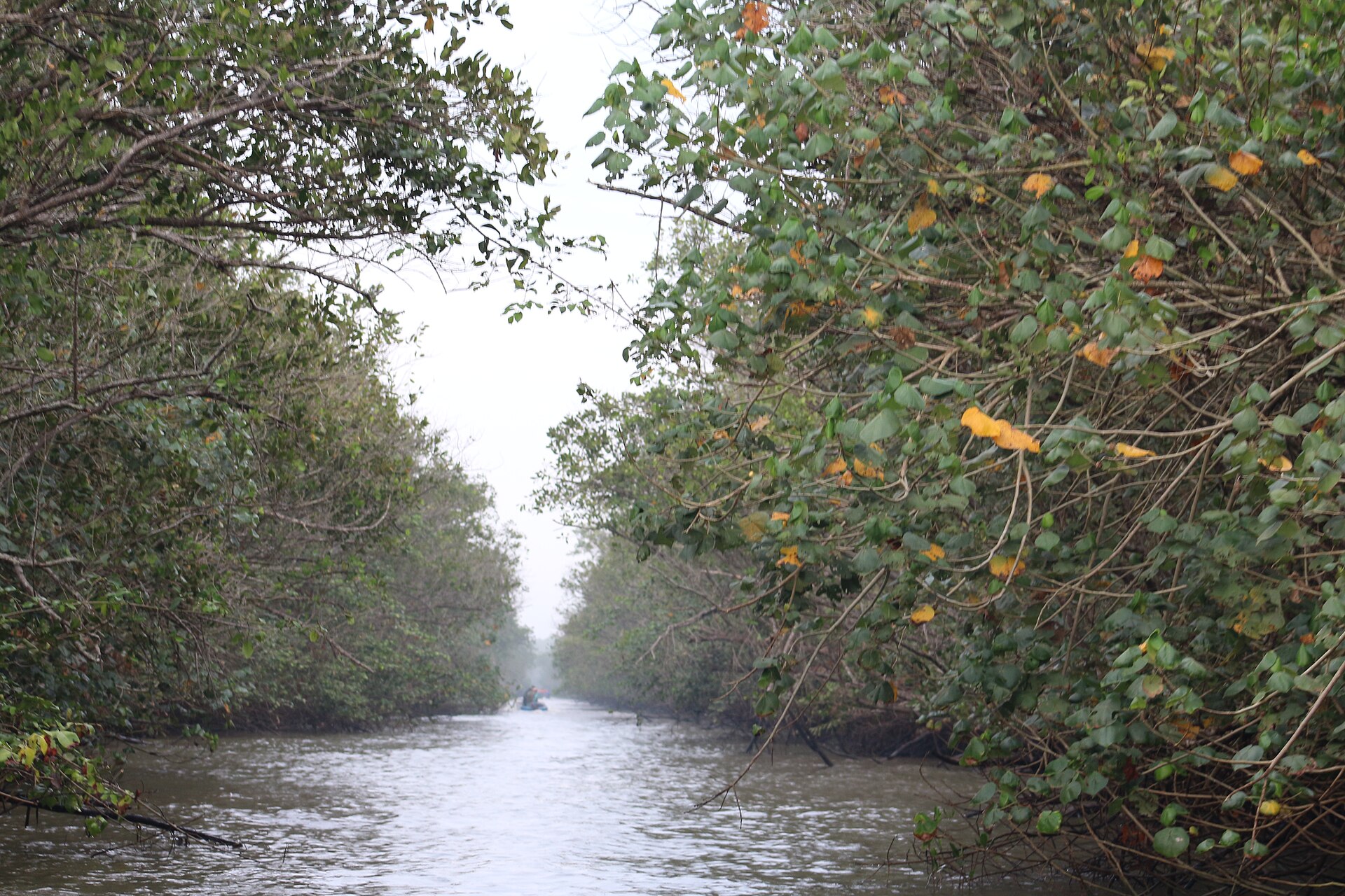 Imagem de referência de Área de Proteção Ambiental de Guapi-Mirim, descrito nos dados abertos como área de Proteção Ambiental de Guapi-Mirim de nível Federal, localizado (a) em Guapimirim (RJ), Itaboraí (RJ), Magé (RJ), São Gonçalo (RJ)