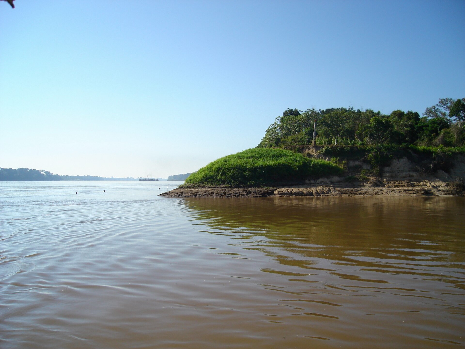 Imagem de referência relacionada a Pando, item descrito como registro de referência sobre Pando, organizado a partir de dados estruturados abertos