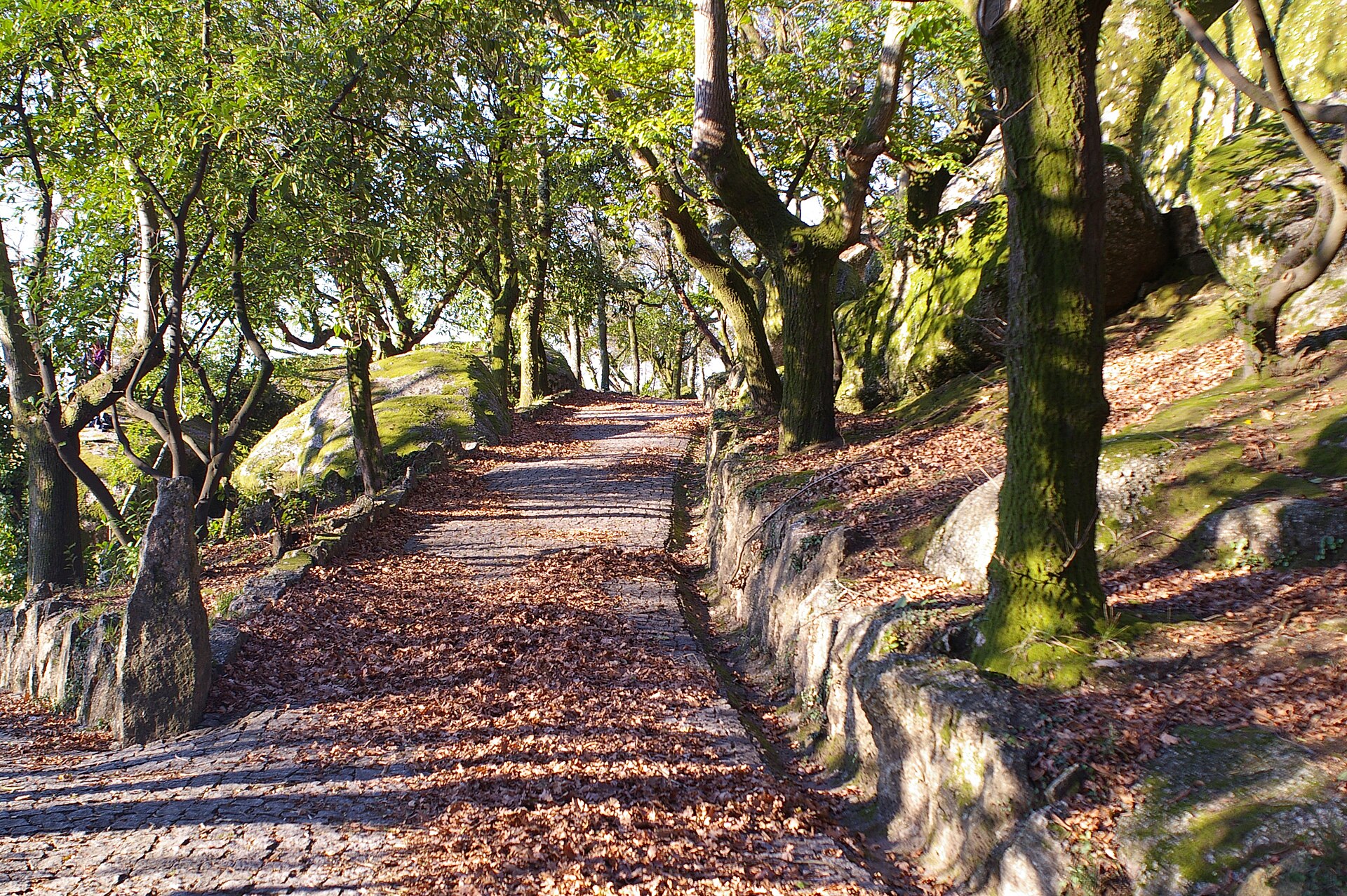 Imagem de referência relacionada a Monte da Penha, item descrito como povoado em Guimarães, Portugal