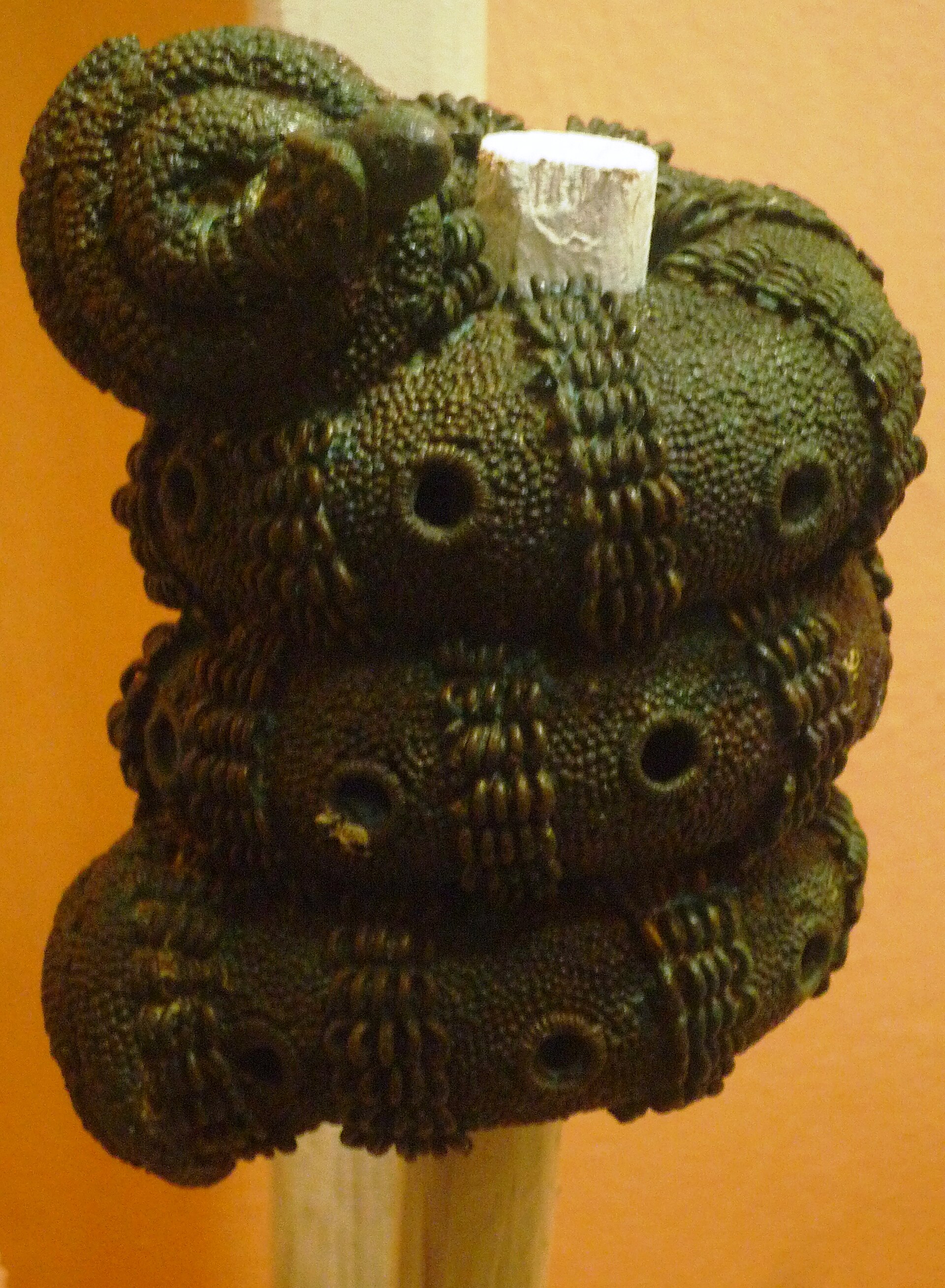 Imagem de referência relacionada a Igbo Ukwu, item descrito como registro de referência sobre Igbo Ukwu, organizado a partir de dados estruturados abertos