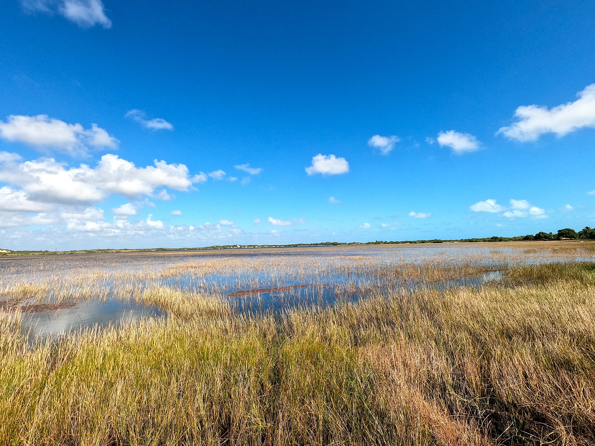Imagem de referência de Lagoa da Mutuca, descrito nos dados abertos como lagoa no Rio Grande do Norte, Brasil