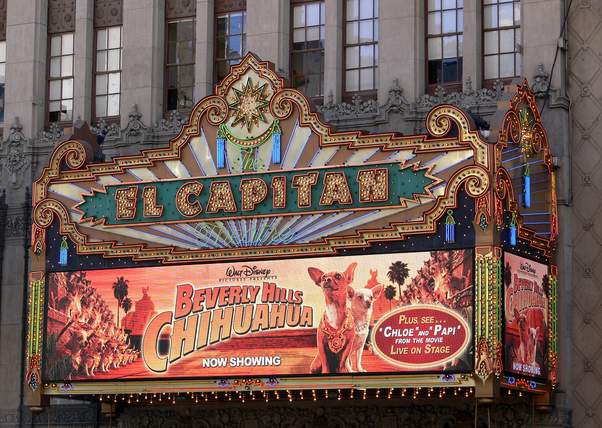 Imagem de referência de Beverly Hills Chihuahua, descrito nos dados abertos como filme americano
