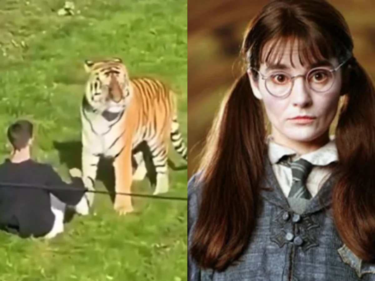 Homem morto por tigre em zoológico fez filme com estrela de Harry Potter