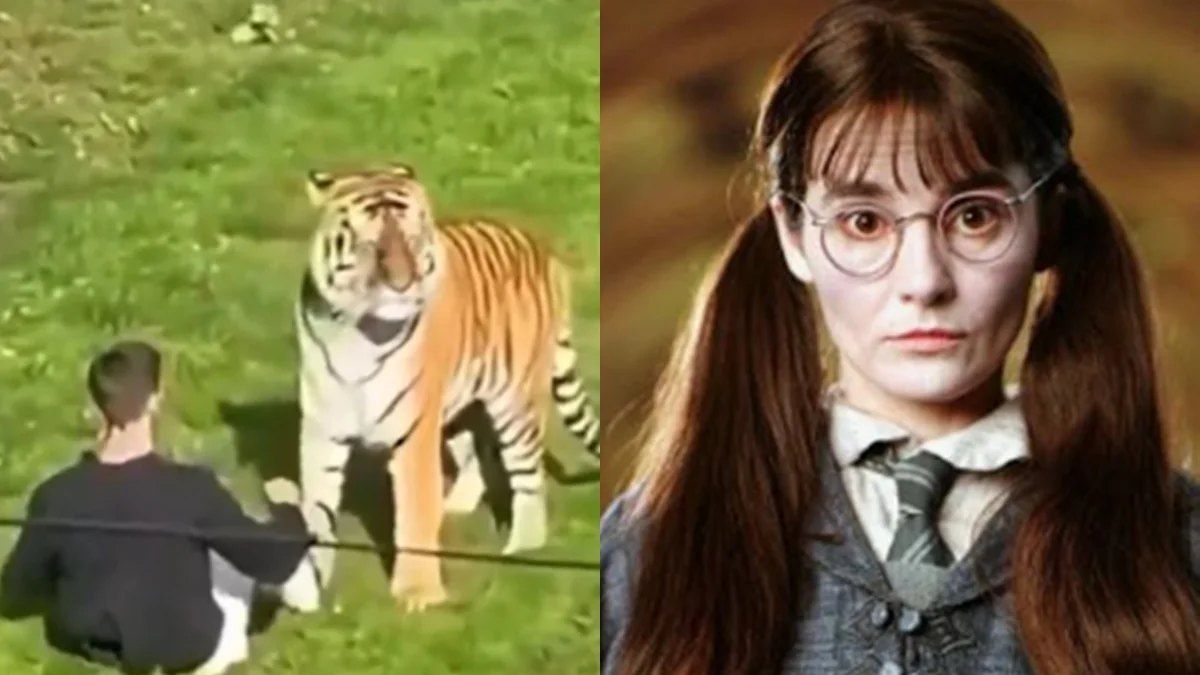 Homem morto por tigre em zoológico fez filme com estrela de Harry Potter