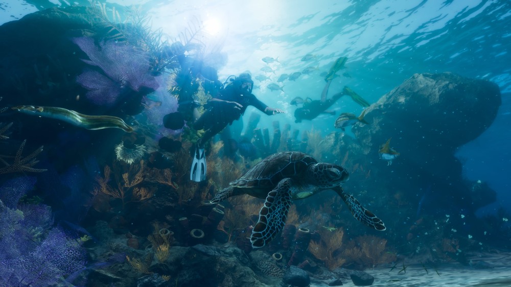 GTA 6 terá furacões e mais de 170 espécies de animais; saiba mais