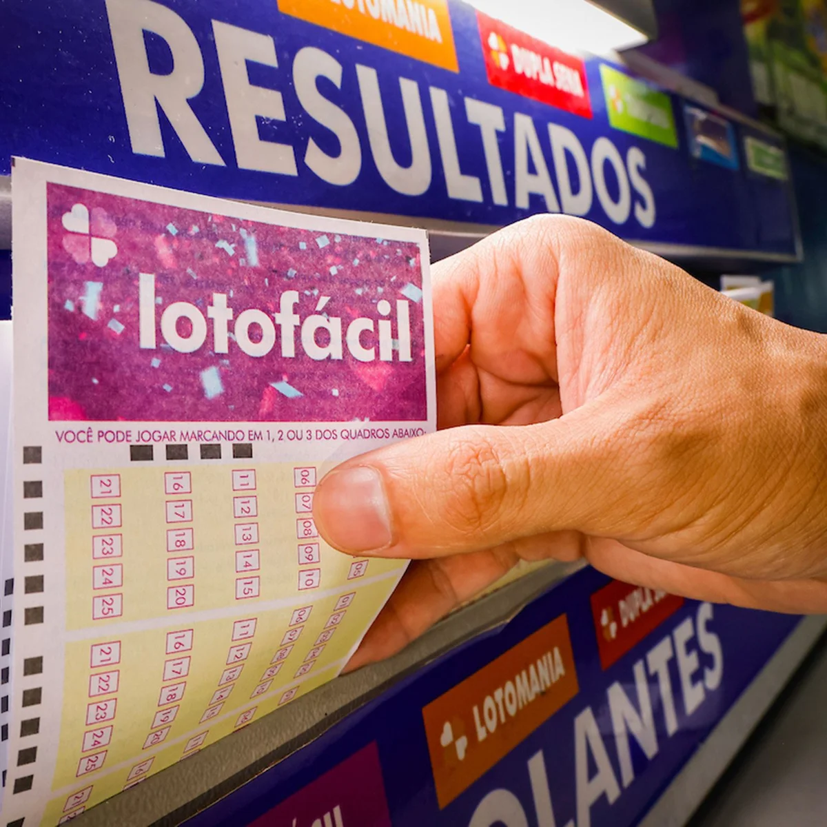 Dois ganhadores dividem prêmio principal da Lotofácil 3803. Veja resultado