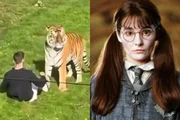 William fez filme com Shirley Henderson
