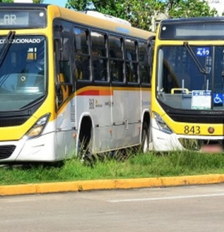 Linha de ônibus no Grande Recife Foto: Divulgação/Paulo Maciel/CTM / Portal de Prefeitura